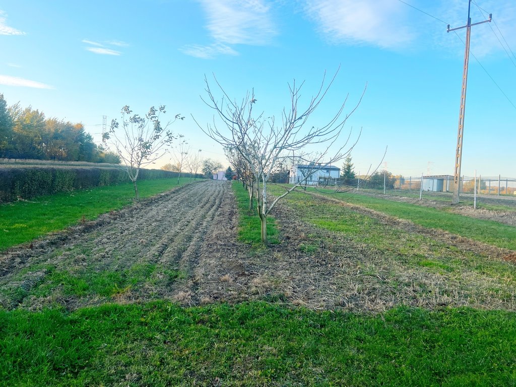 Dom na sprzedaż Mogielnica  110m2 Foto 3