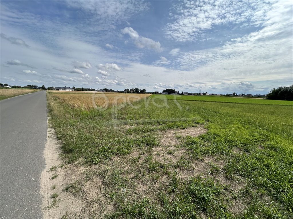 Działka inwestycyjna na sprzedaż Gorzyce Wielkie, Skośna  4 000m2 Foto 2