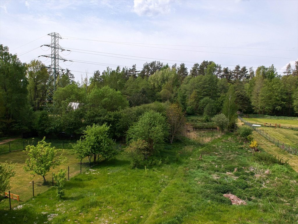 Działka budowlana na sprzedaż Orle  2 676m2 Foto 3