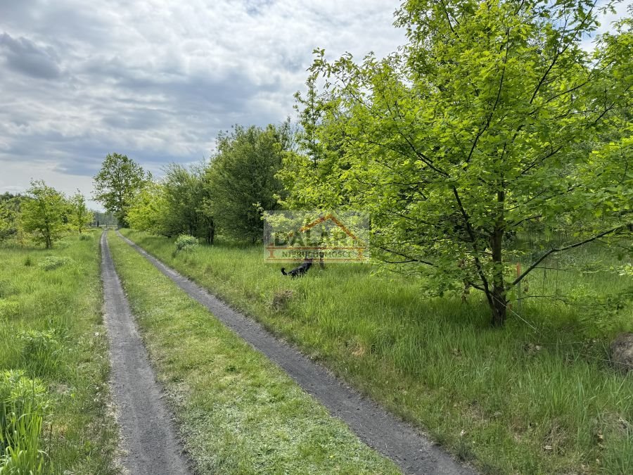 Działka budowlana na sprzedaż Kruszew  1 000m2 Foto 9