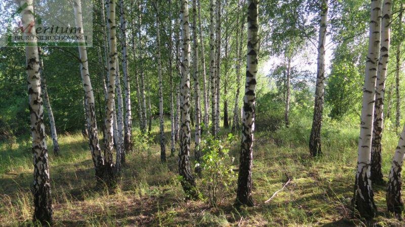 Działka budowlana na sprzedaż Odrzykoń  1 677m2 Foto 1