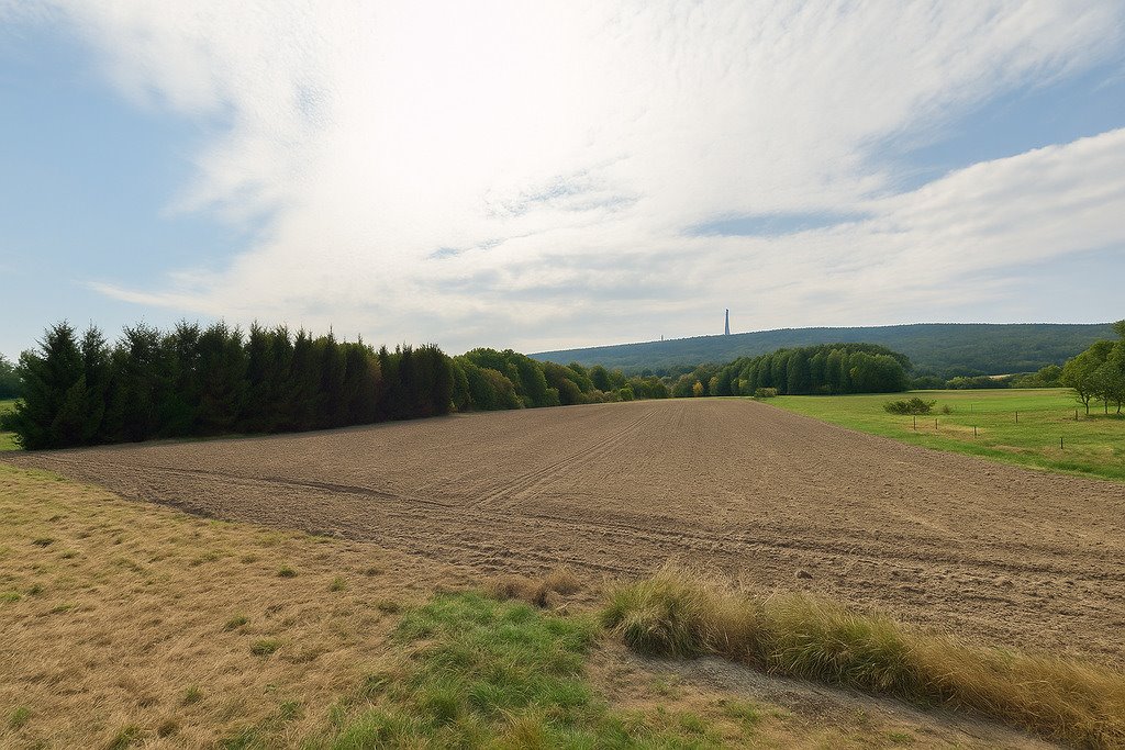 Działka budowlana na sprzedaż Nowa Słupia  8 300m2 Foto 1