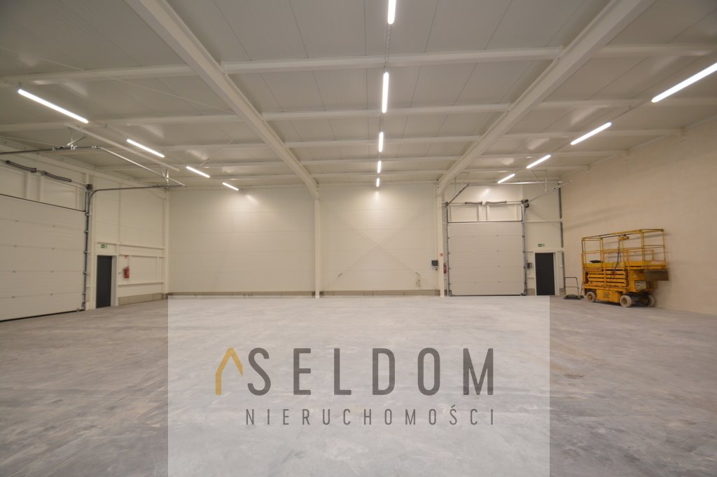 Lokal użytkowy na wynajem Opole, Śródmieście  330m2 Foto 1