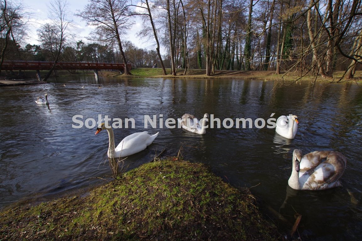 Działka budowlana na sprzedaż Konstancin-Jeziorna, Królewska Góra  3 158m2 Foto 2