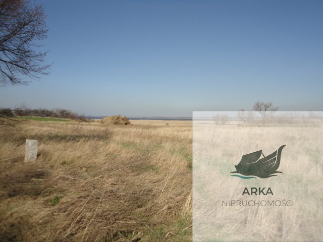 Działka 10 000 m² z widokiem na jezioro Miedwie (przy drodze asfaltowej) Turze  10 000m2 Foto 1
