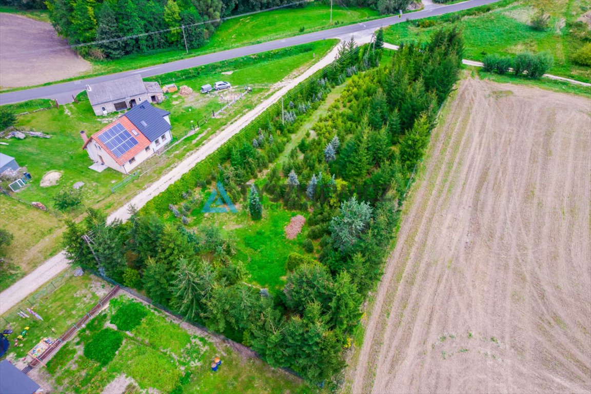 Działka budowlana na sprzedaż Włościbórz  3 000m2 Foto 7