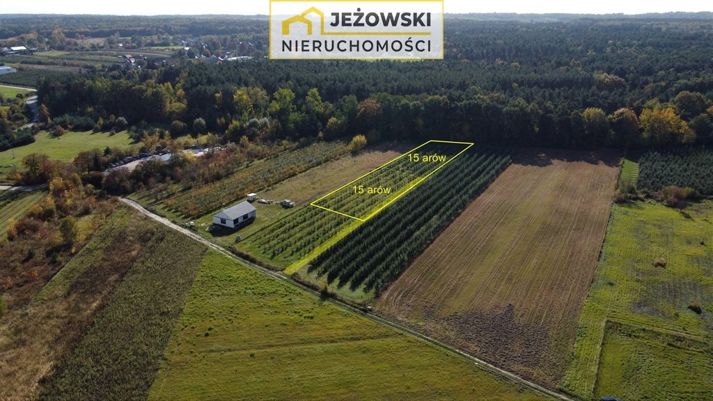 Działka inna na sprzedaż Kazimierz Dolny, Cholewianka  1 500m2 Foto 4