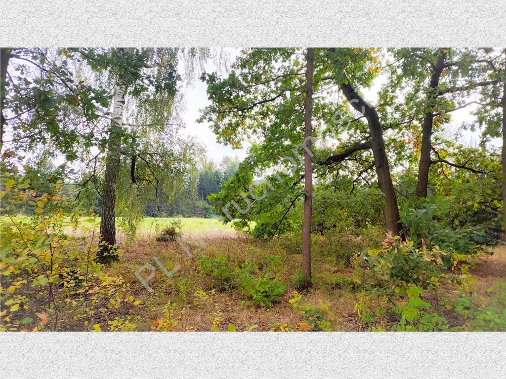 Działka budowlana 2000 m² w Odrano-Woli - spokojna okolica Odrano-Wola  2 000m2 Foto 1