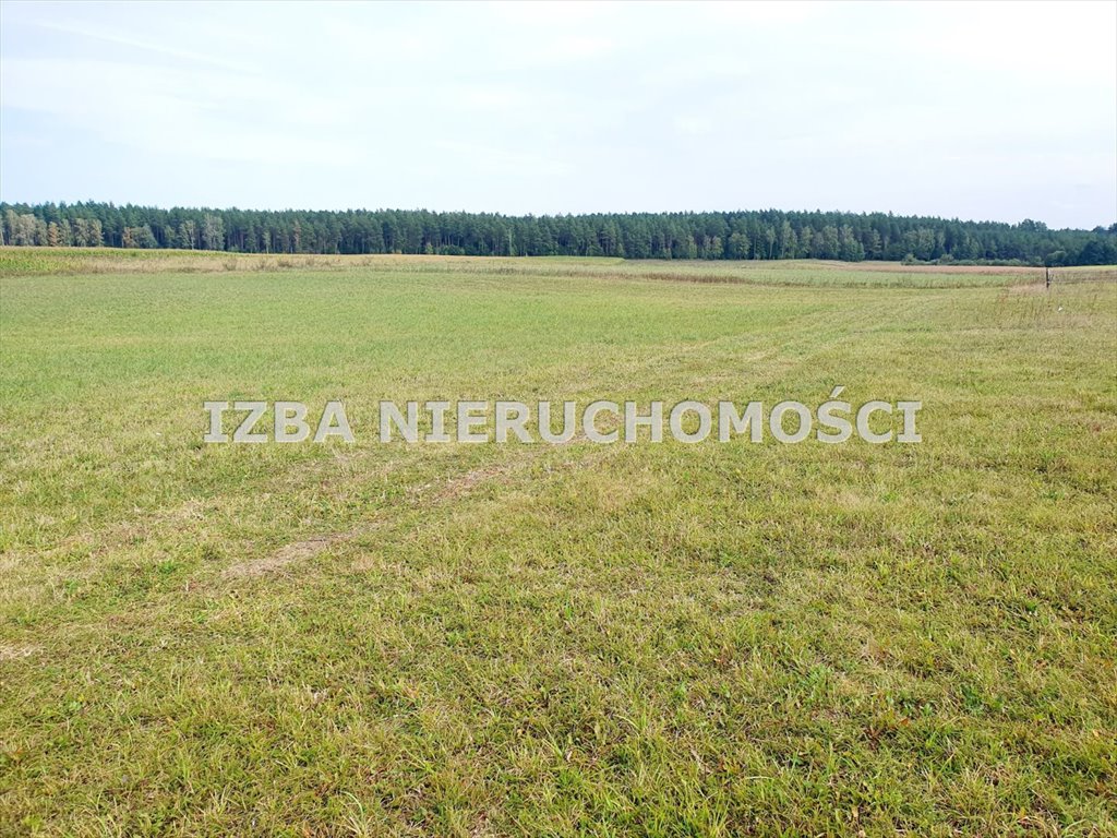 Działka rekreacyjna na sprzedaż Grabnik  3 400m2 Foto 16