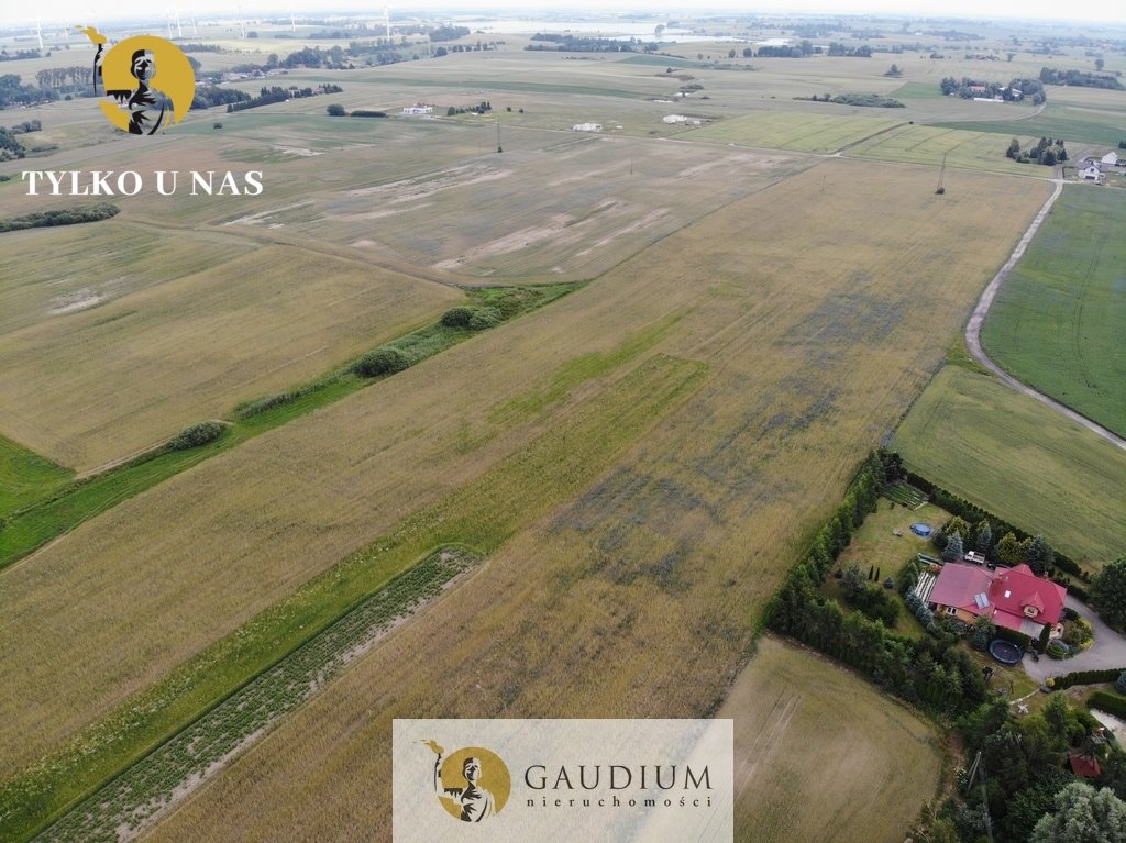 Działka przemysłowo-handlowa na sprzedaż Sztum  75 000m2 Foto 6