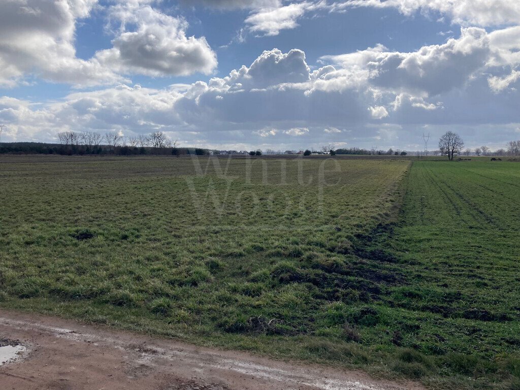 Działka pod osiedle 40 domów z infrastrukturą i WZ Osiedle Poznańskie  55 400m2 Foto 1