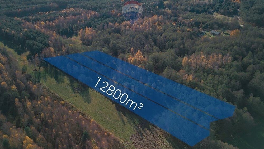 Działka rolna na sprzedaż Józefów Widawski  12 800m2 Foto 3