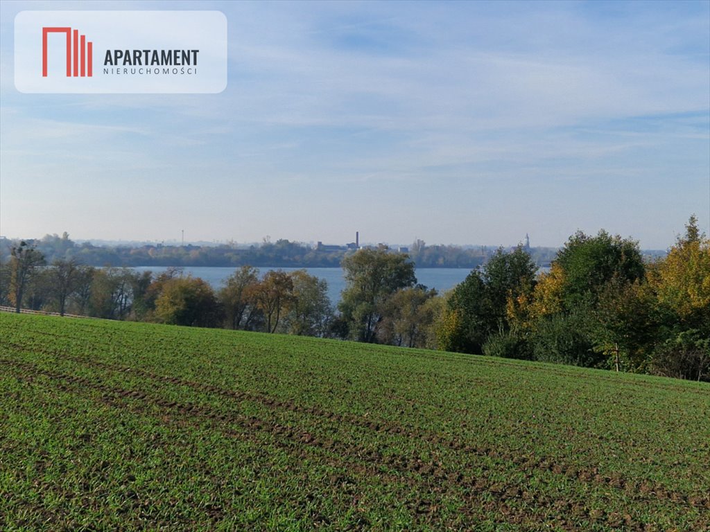 Działka gospodarstwo rolne na sprzedaż Żnin, Wilczkowska  10 800m2 Foto 3