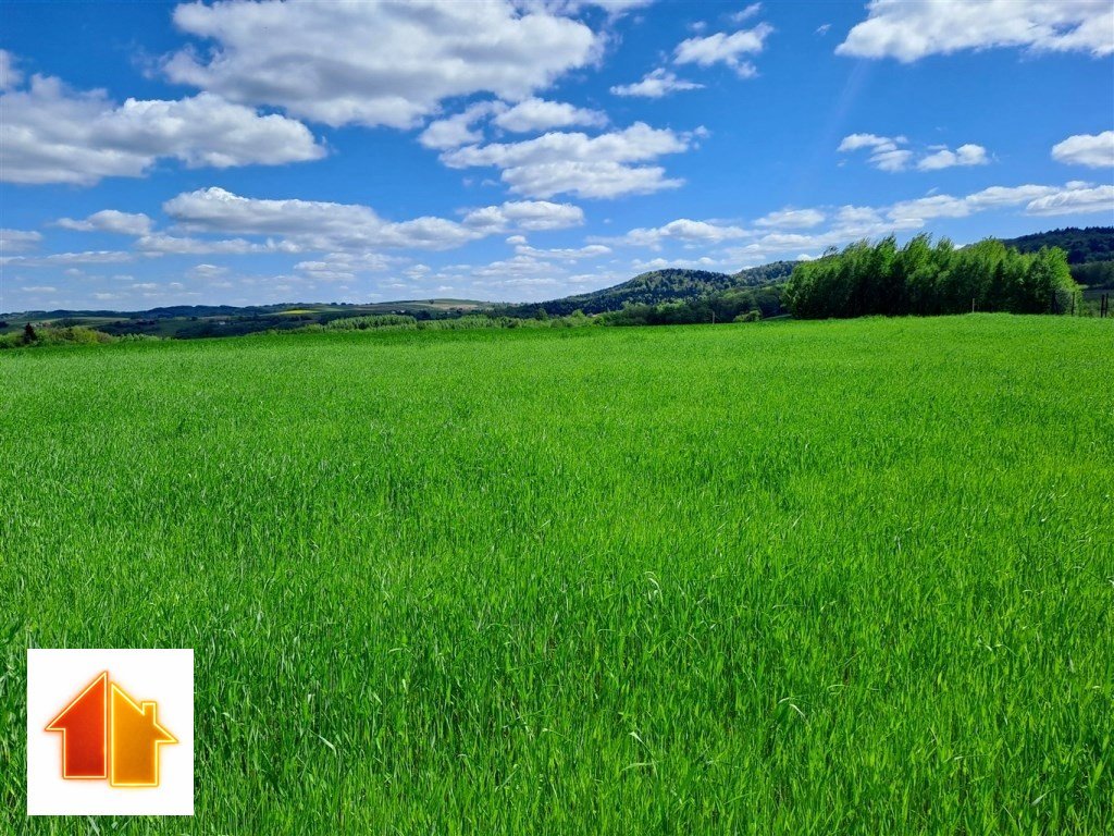 Urokliwa działka 3000 m² z widokiem na las w Wielopolu Wielopole Skrzyńskie  3 000m2 Foto 1