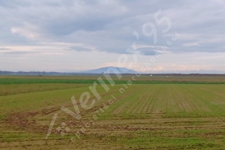 Działka rolna na sprzedaż Stoszyce  10 300m2 Foto 1