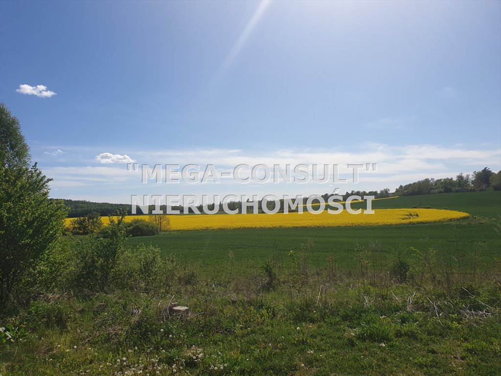 Lokal użytkowy na sprzedaż Rychliki  5 270m2 Foto 8