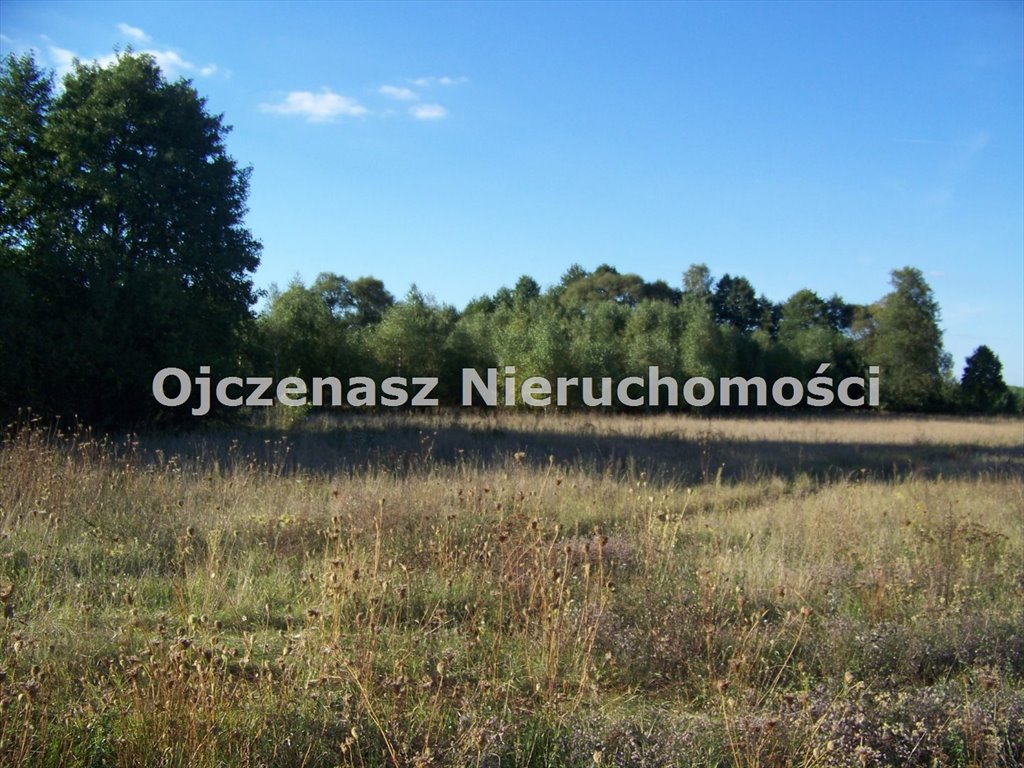 Sprzedam działkę inwestycyjną 8 300 m² przy głównej drodze Topolinek  8 300m2 Foto 1