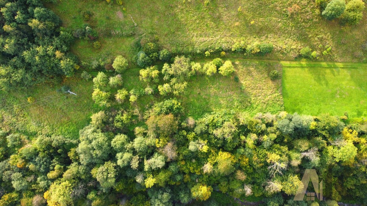 Działka budowlana na sprzedaż Zabrzeż  1 234m2 Foto 9