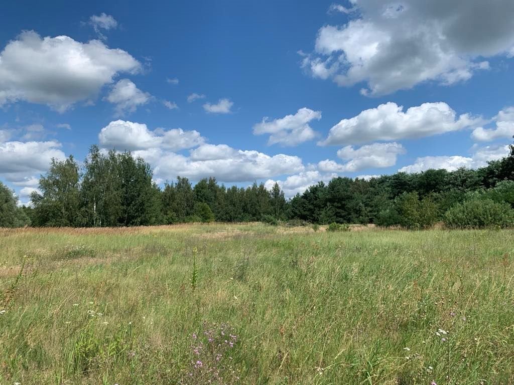 Zapraszam do obejrzenia działki 2,5 ha z mediami i dużym potencjałem Brzezińskie Holendry, Brzezińskie Holendry  25 000m2 Foto 1