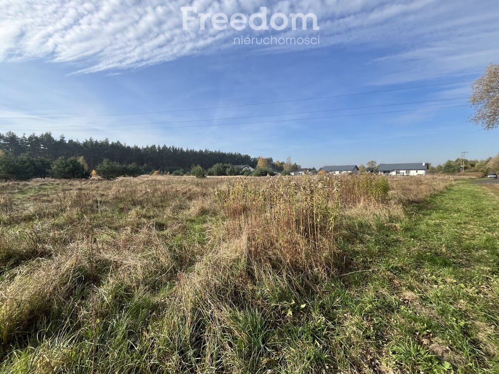 Działka budowlana na sprzedaż Zamek Bierzgłowski, Sosnowa  2 000m2 Foto 8