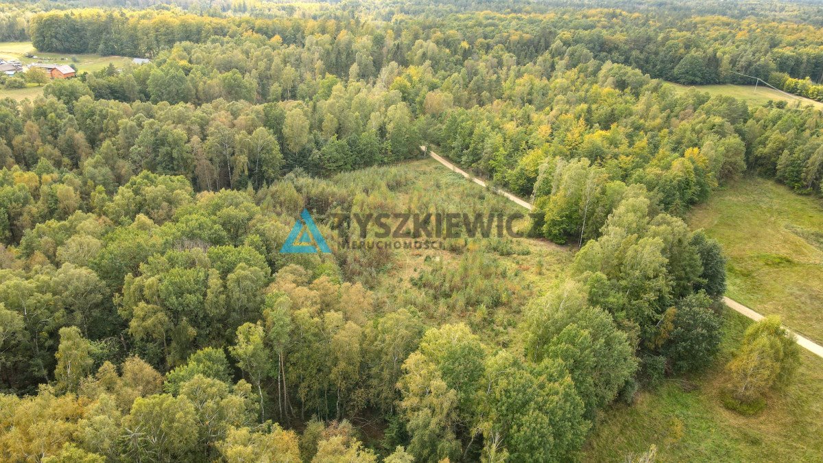 Działka budowlana na sprzedaż Skrzeszewo Żukowskie, Leśna  11 811m2 Foto 6