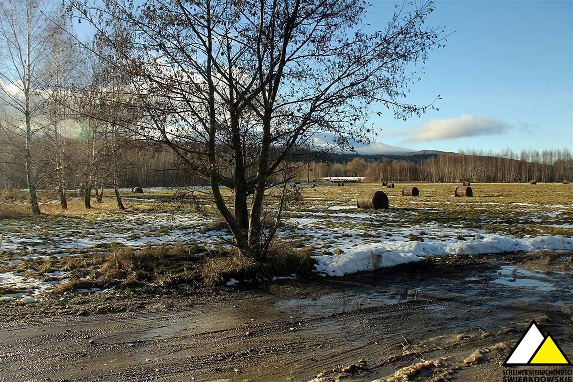 Działka budowlana na sprzedaż Orłowice, Orłowice  1 737m2 Foto 1