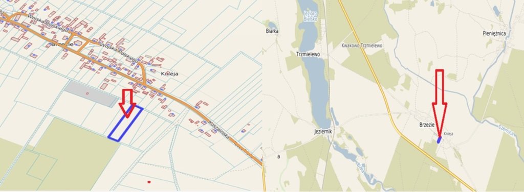 Działka na sprzedaż w Brzeziu 5100 m² – atrakcyjna oferta! Brzezie  5 100m2 Foto 1