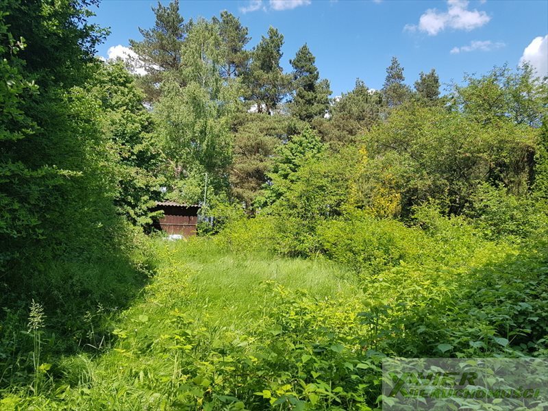 Działka budowlana na sprzedaż Braniewo 106 000m2 Foto 1 Działka budowlana na sprzedaż Braniewo 106 000m2 Foto 1