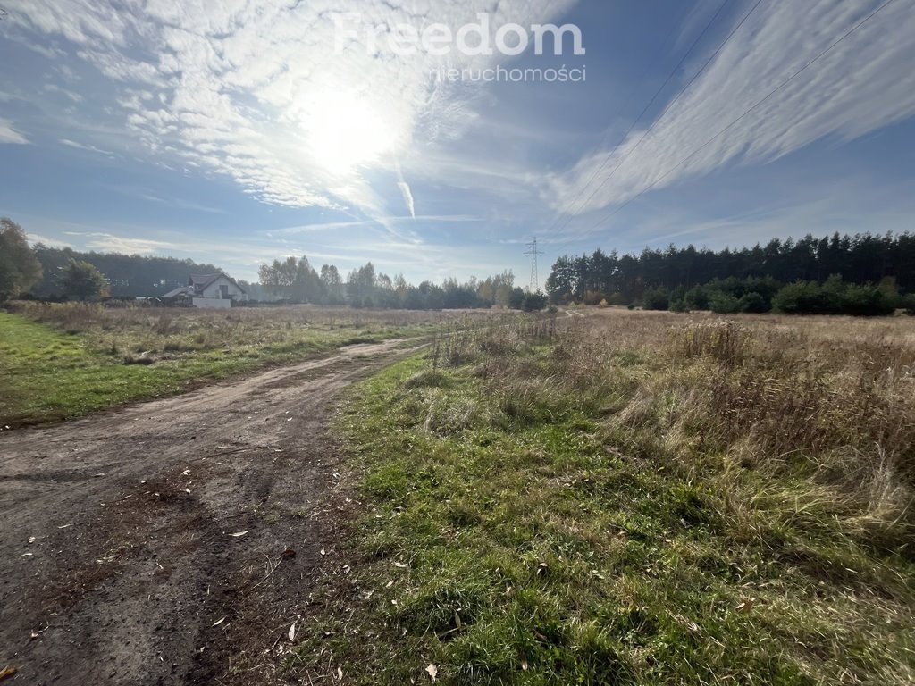 Działka budowlana na sprzedaż Zamek Bierzgłowski, Sosnowa  2 000m2 Foto 5