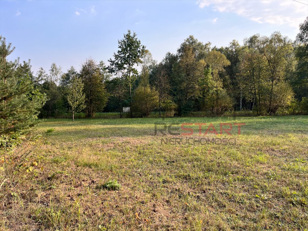 Działka budowlana na sprzedaż Piotrkowice  2 546m2 Foto 7