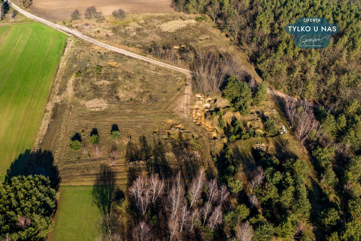 Działka rolna na sprzedaż Wilczków  13 536m2 Foto 6