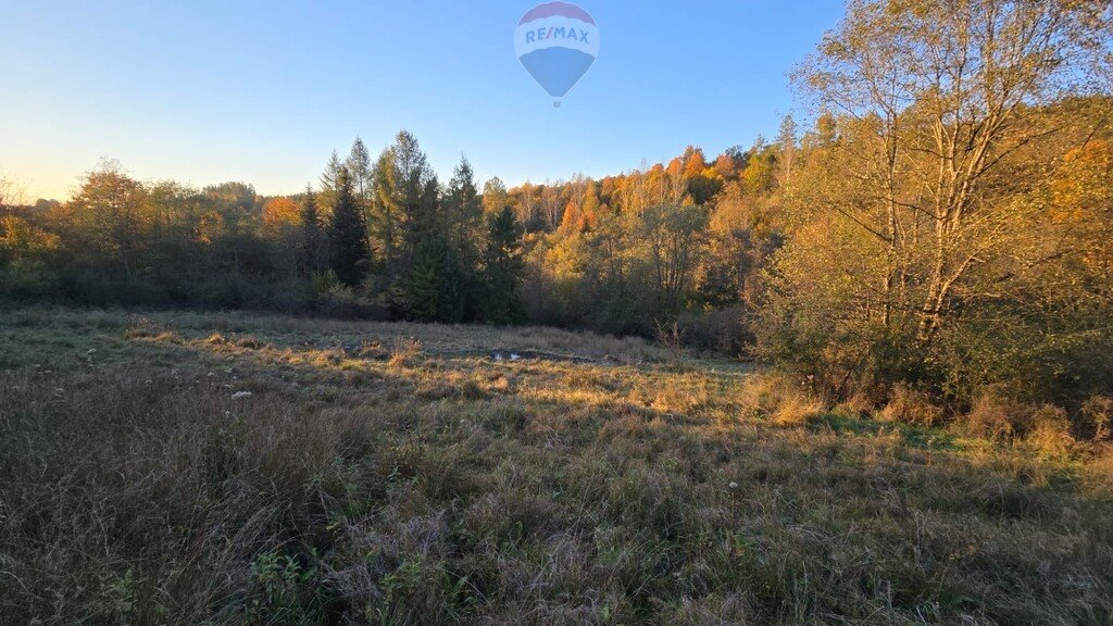 Działka rolna na sprzedaż Szczawnica  2 578m2 Foto 3