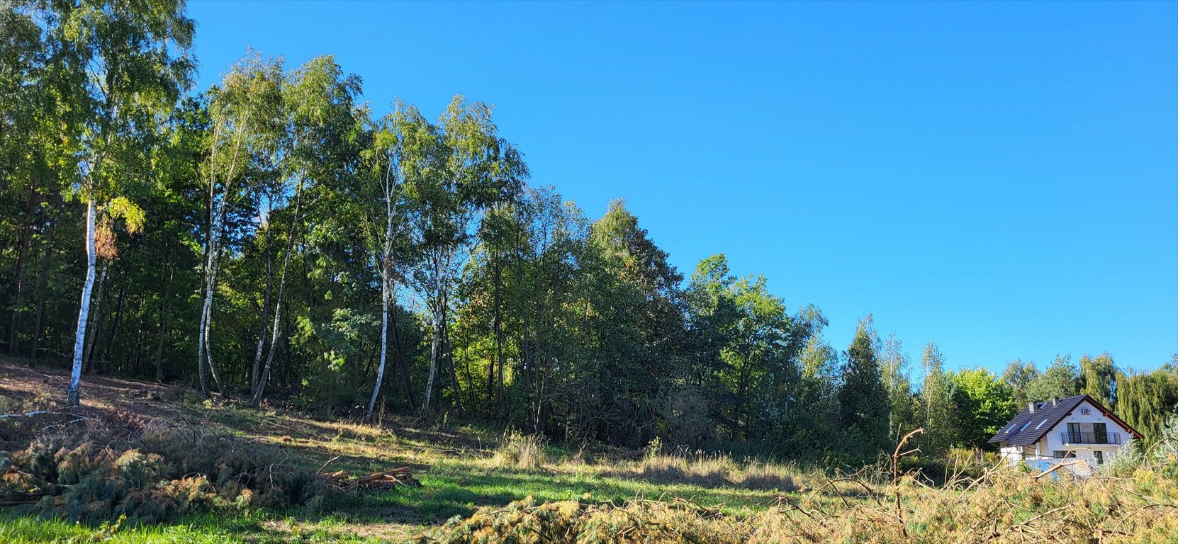 Działka budowlana na sprzedaż Ruda  1 464m2 Foto 4