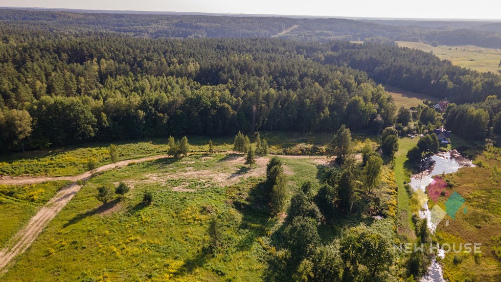 Działka budowlana na sprzedaż Dorotowo  3 811m2 Foto 3