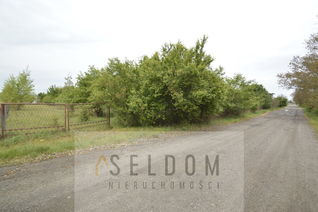 Działka inna na sprzedaż Prochowice  7 842m2 Foto 1