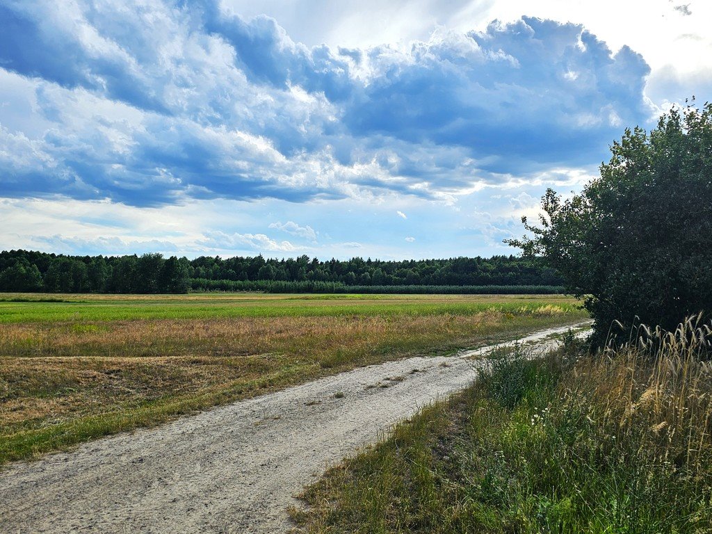 Działka inna na sprzedaż Leszkowice  21 188m2 Foto 4