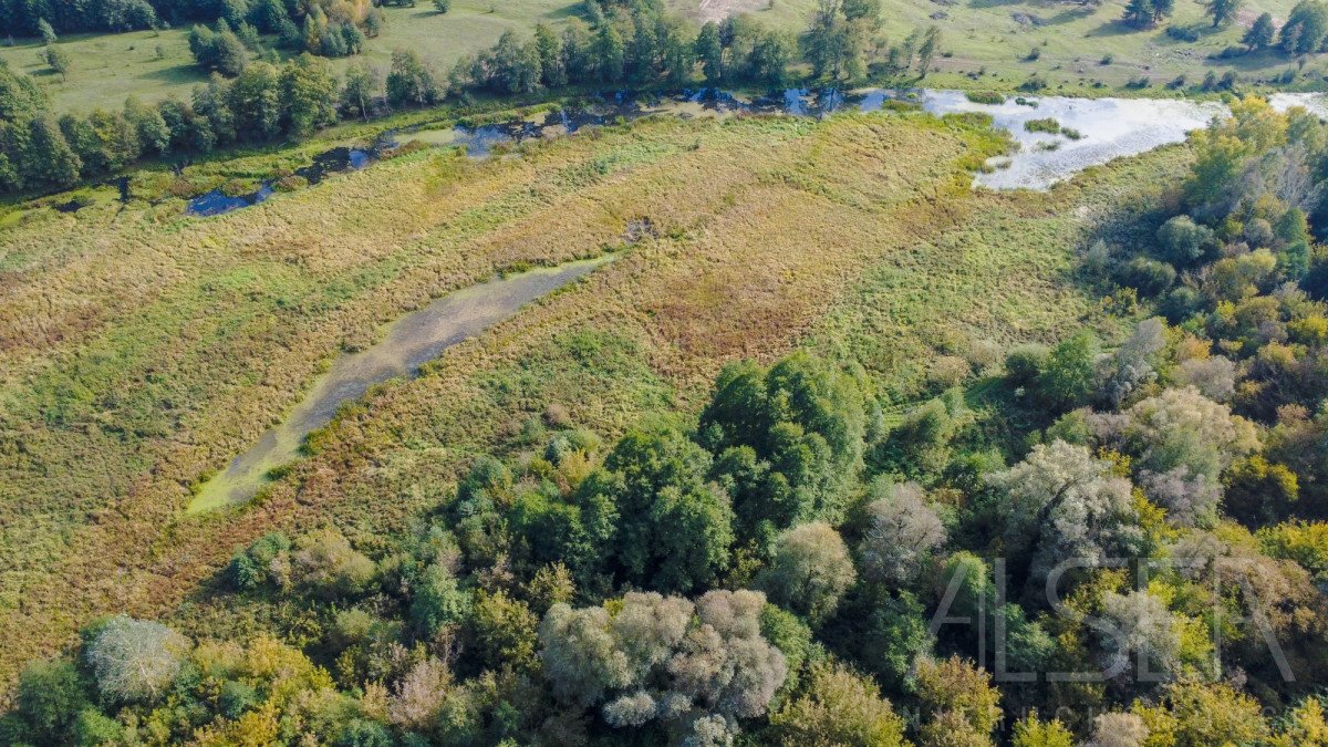 Działka rolna na sprzedaż Michałowo  38 400m2 Foto 10