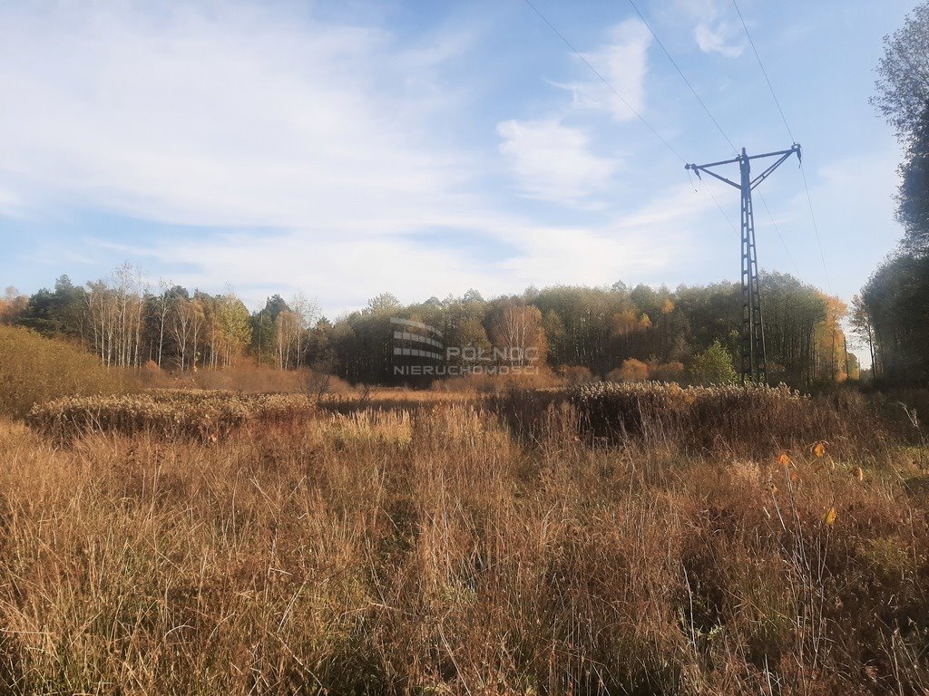 Działka rolna na sprzedaż Ostrów  6 806m2 Foto 4