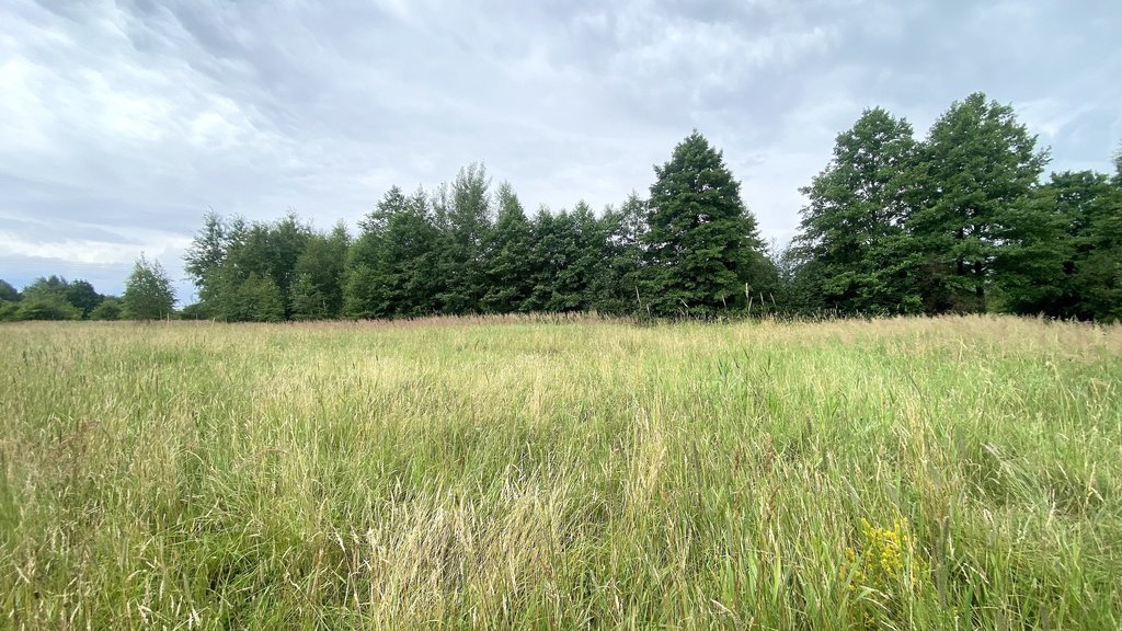 Działka budowlana na sprzedaż Częstochowa  1 000m2 Foto 4