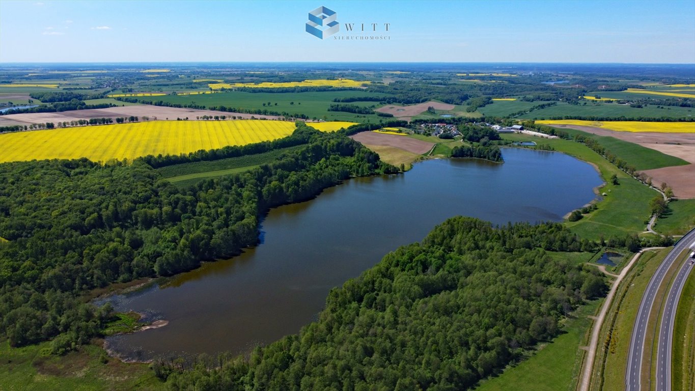 Działka budowlana na sprzedaż Grabin  9 600m2 Foto 11