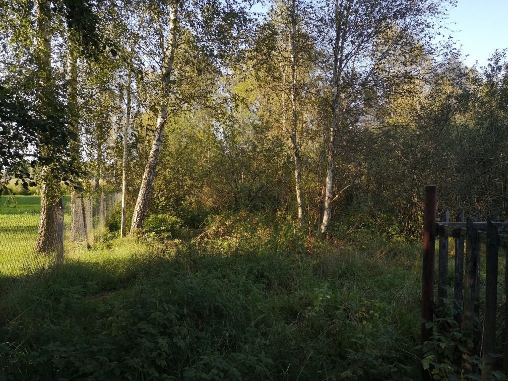 Działka rekreacyjna na sprzedaż Szczechy Małe  5 200m2 Foto 1