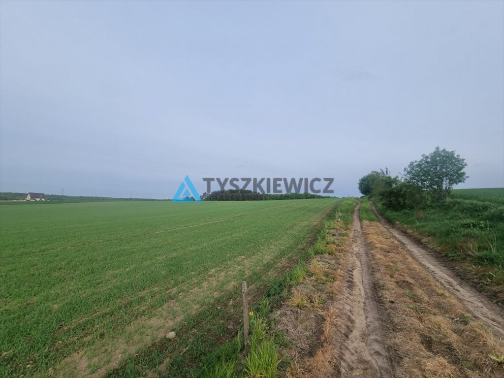 Działka rolna na sprzedaż Mierzeszyn  44 200m2 Foto 5