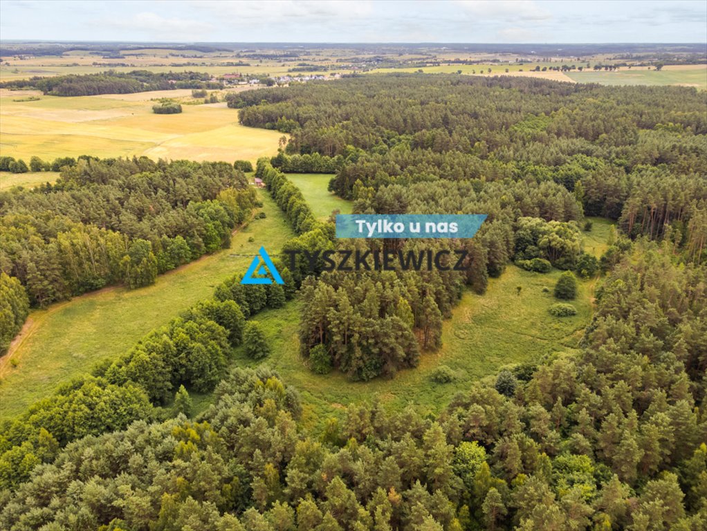 Cisza i natura! Działka 7 500 m² w Gołębiewie Wielkim Gołębiewo Wielkie, Maciejki  7 500m2 Foto 1