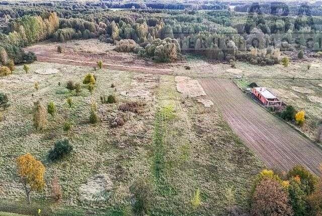 Działka budowlana na sprzedaż Golina-Kolonia  2 500m2 Foto 6