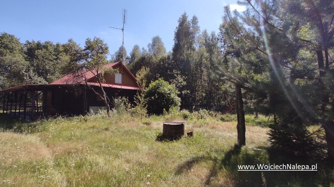 Działka siedliskowa na sprzedaż Janów Lubelski  172 850m2 Foto 17