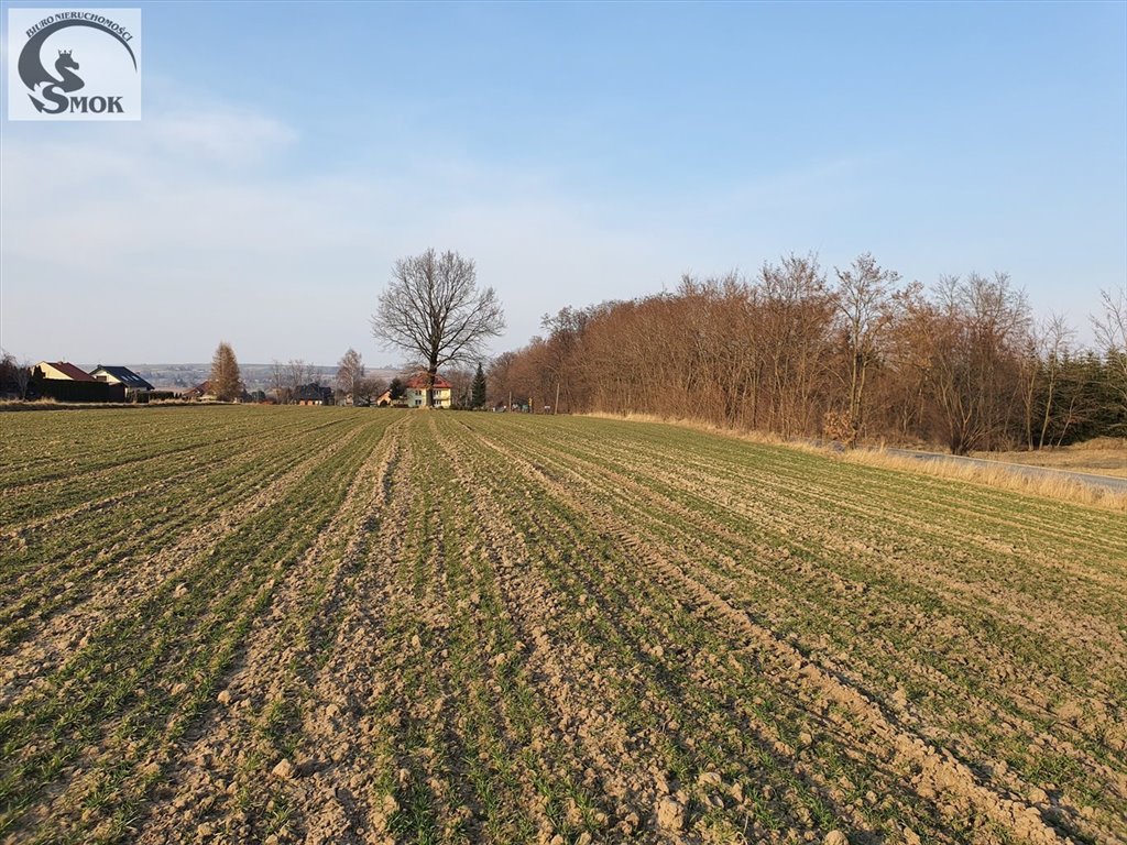 Działka siedliskowa na sprzedaż Wilków  1 600m2 Foto 1