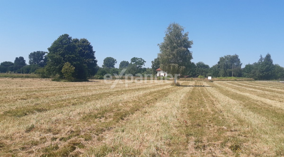 Działka budowlana na sprzedaż Przeczyce  800m2 Foto 1