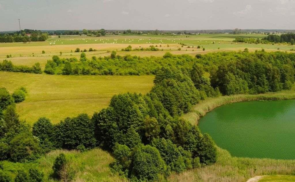 Działka rolna na sprzedaż Nawiady  1 824m2 Foto 13