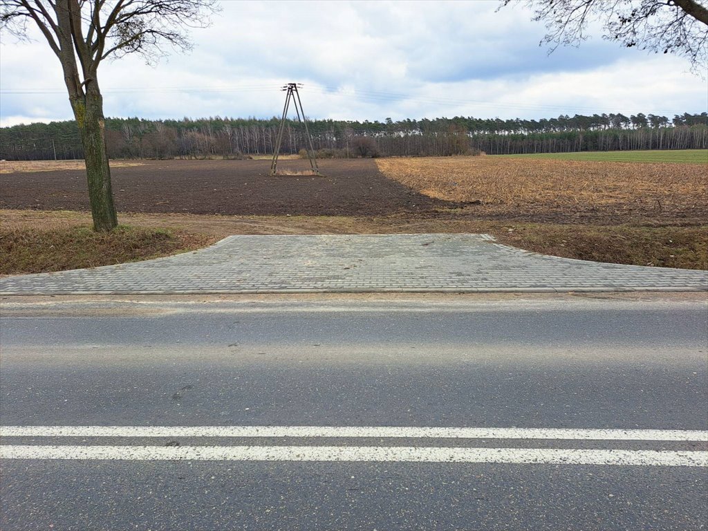 Działka przemysłowo-handlowa na sprzedaż Bolechowo, Bolechowo, Krańcowa  6 215m2 Foto 3