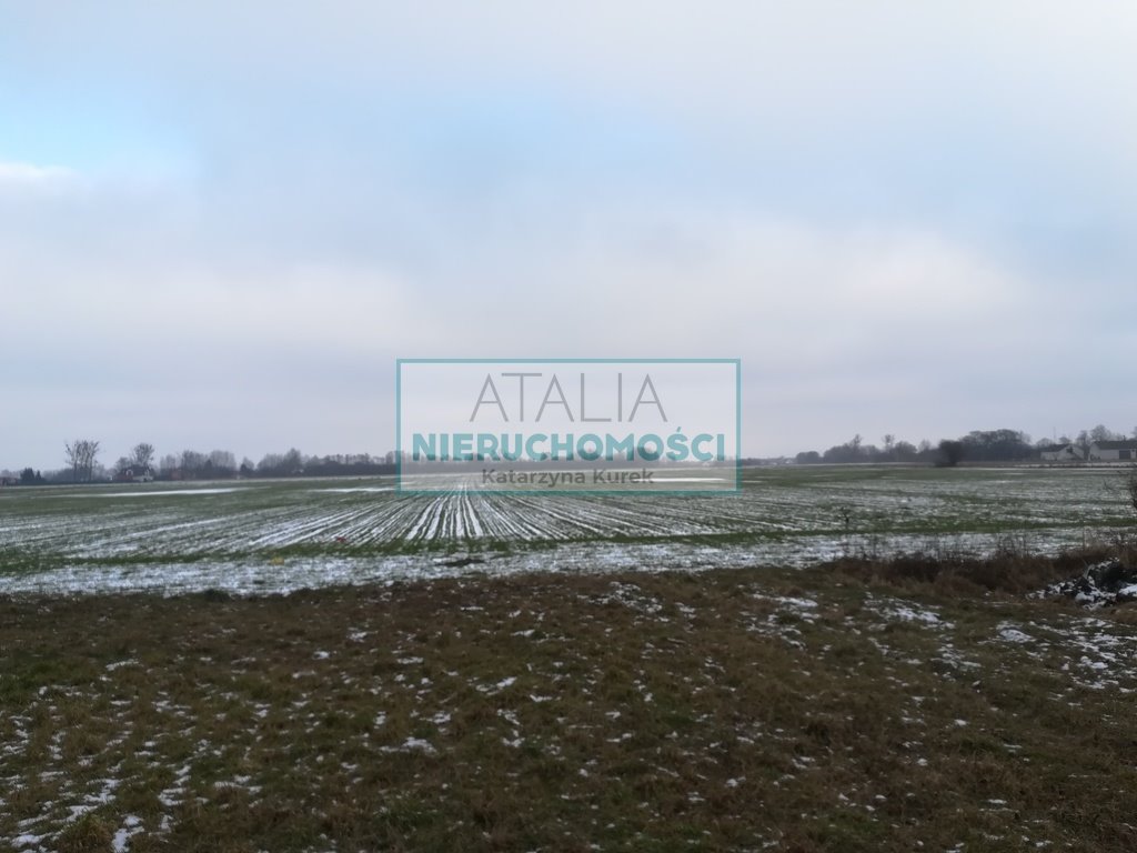 Zapraszam do obejrzenia działki 22 000 m² przy drodze gminnej Żaby  50 000m2 Foto 1